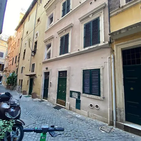 Navona Viola